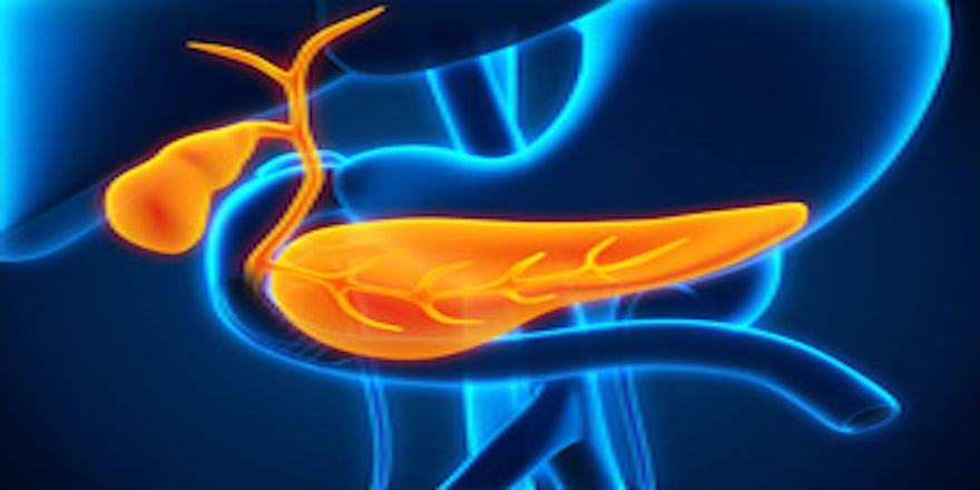 Image of bile ducts