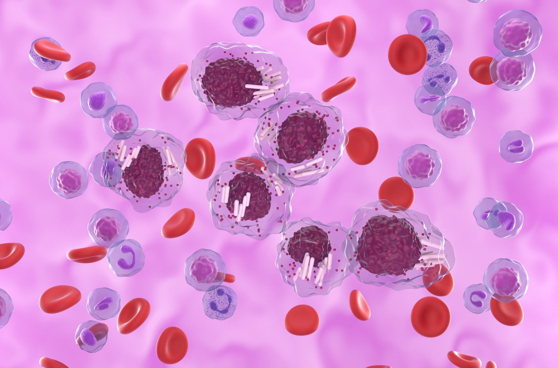 While improvements were seen in non-relapse mortality in CLL throughout the decade, the researchers observed no differences in overall survival or progression-free survival. | Image credit: LASZLO - stock.adobe.com